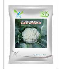 Iris F1 Cauliflower Early Express 10 grams